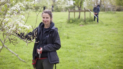 Woman stood by branch of tree in orchard