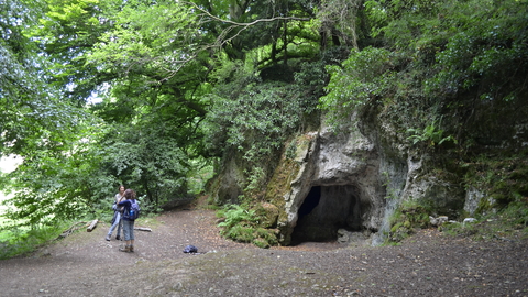 Cave in woodland