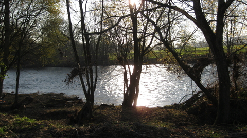 Water seen through dark silhouettes of trees, low sun behind
