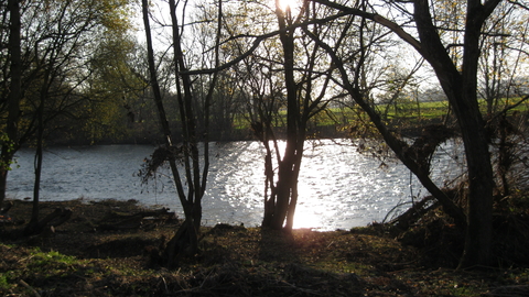 Water seen through dark silhouettes of trees, low sun behind