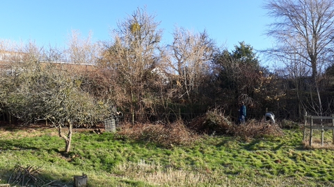 Field with small trees and the roof of a house just visable behind