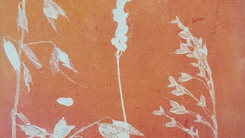 Print of wildflowers in white silhouetted against an orange background