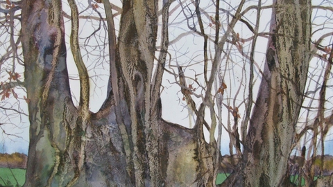 Watercolour painting of trees in hedgerow