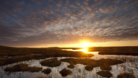 Sunsetting over peatland