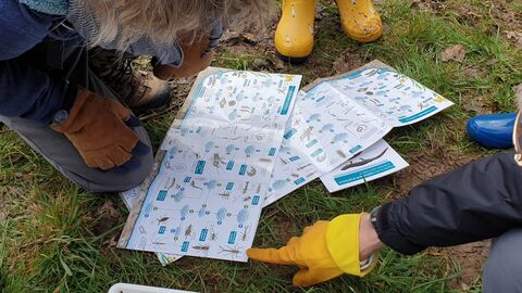 ID charts laid on the ground with a hand pointing to one of the images