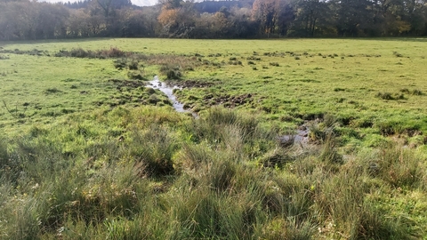 Ail Meadow nature reserve in Winter