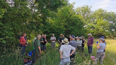 Group of around 20 people stood talking in long grass, under trees on a sunny day