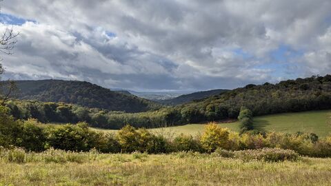 View across grassland to wooded hills beyond under a cloudy sky