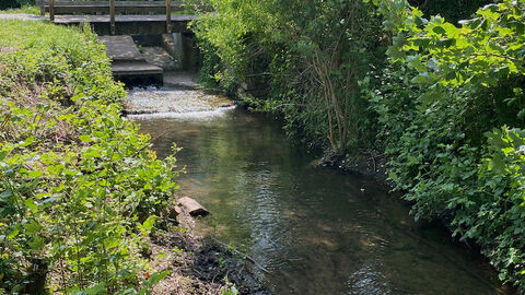 View of a steam with wooden bridge across and verdant banks
