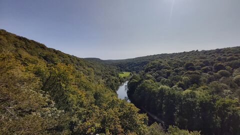 View of river from above with woodland covering hills each side