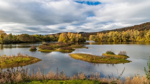 View across lake in autumn
