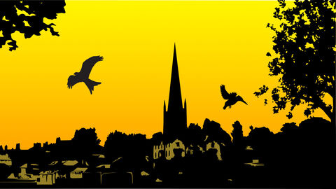 Ross skyline with birds in foreground