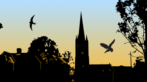 Weobley scene with birds in foreground