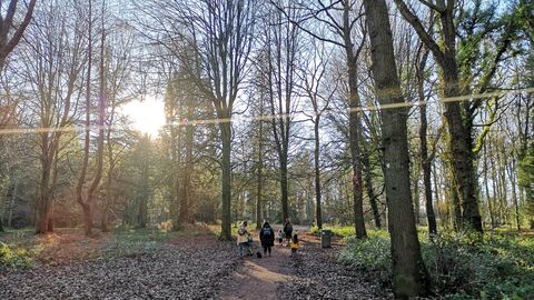Queenswood Trail 