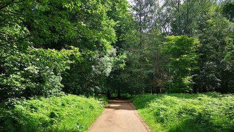 Path at Queenswood 
