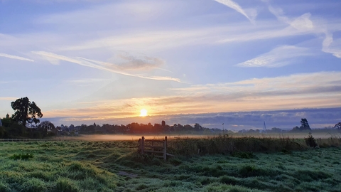 Bartonsham Meadows 