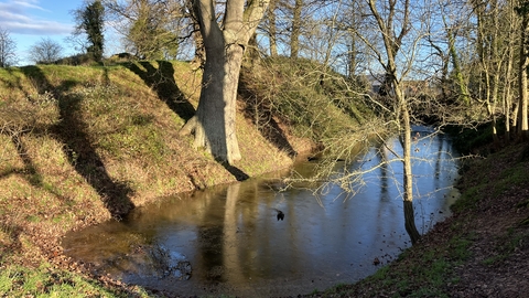 A pond, in winter, with trees around the edge