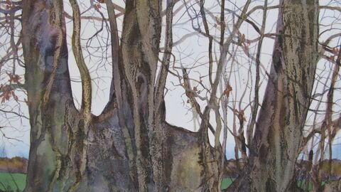 Painting of hedgerow trees