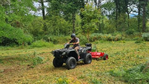 Person on a quad in a woodland clearing