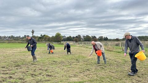 Five people with coloured buckets sowing seed in a field