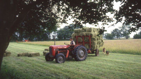 Old photo of a red tractor with trailer piled with hay bales in a field