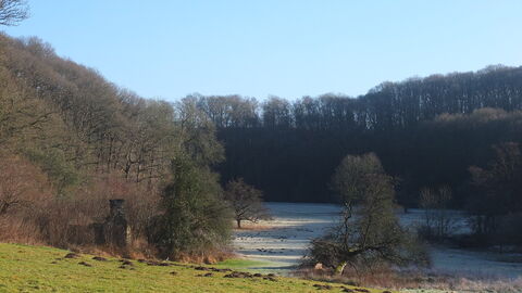 View down a grassy valley with woodland surrounding; winter