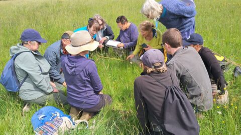Small group of about 10 people sat in a rough circle in a meadow of long grass