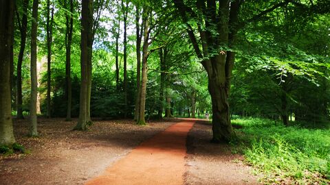 Queenswood Arboretum Path 