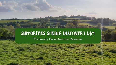 Spring Supporters Discovery Day - Tretawdy Farm Nature Reserve