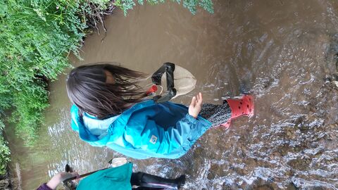 children steam dipping with nets 