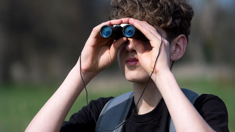 bird watching 