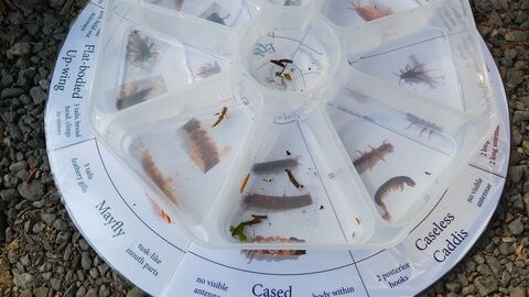clear segmented tray holding samples with key beneath