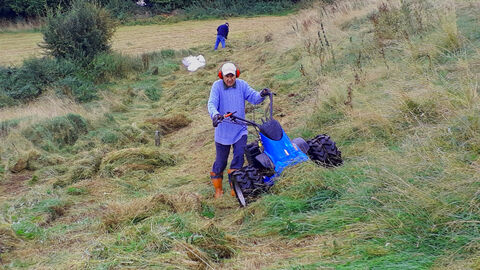 Volunteer mowing sloping bank