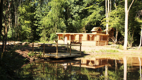 View across woodland pond with wooden building 