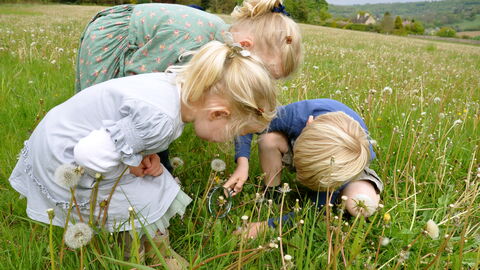 Children on the meadow