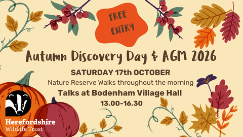 Discovery day 2026