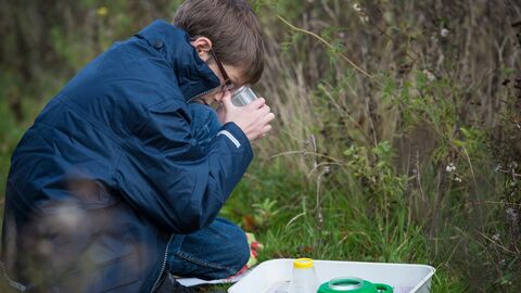 Boy looking into a bug pot