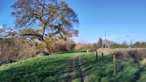 path at Bartonsham 