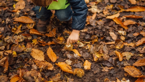 Nature Tots Autumn 5 Sessions Herefordshire Wildlife Trust