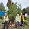 Two men and a woman in hi vis waistcoats stood in front of an old tree facing the camera