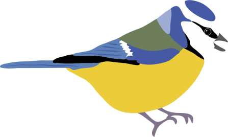 blue tit illustration