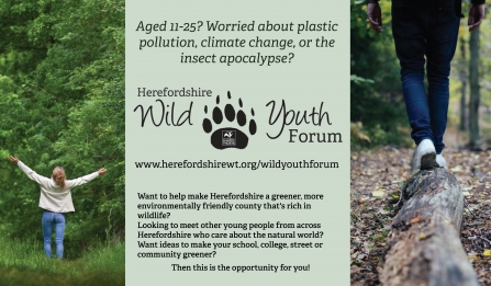 Promotional banner for Herefordshire Wild Youth Forum