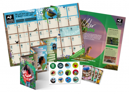 Contents of the 30 Days Wild pack including wall chart, stickers, seeds