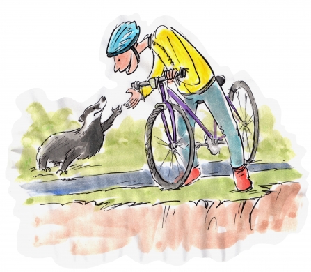 Illustration of cyclist & badger shaking hands