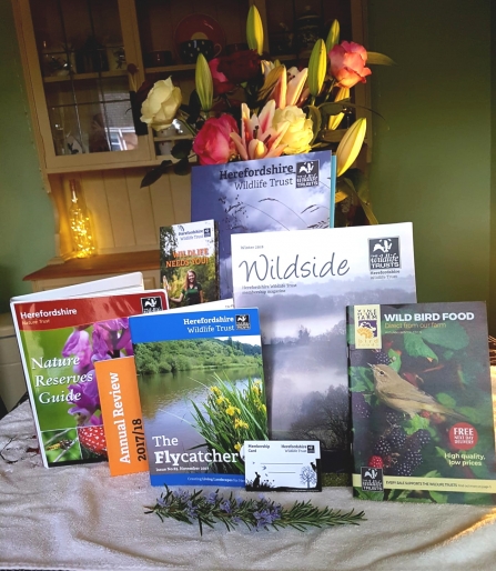 Leaflets and magazines displayed on a table