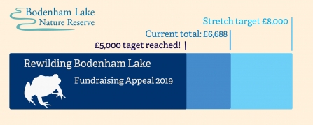 Infographic detailing funding appeal.
