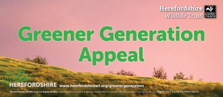 Appeal banner