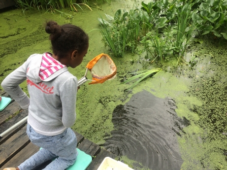 Girl with net by pond