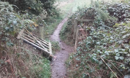 Gate lying damaged at side of path