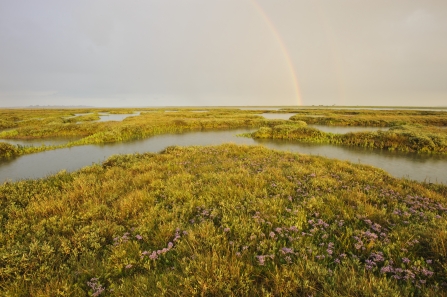 View across saltmarsh